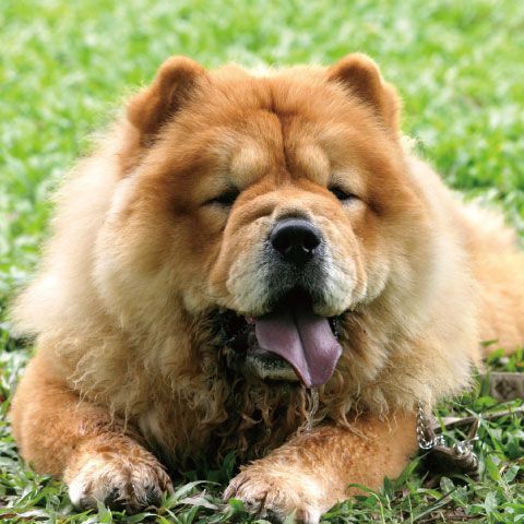 清潔與衛生系列