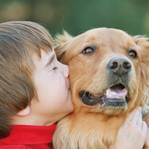 愛犬專用