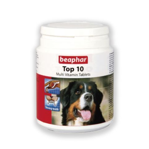 TOP-10犬鈣錠